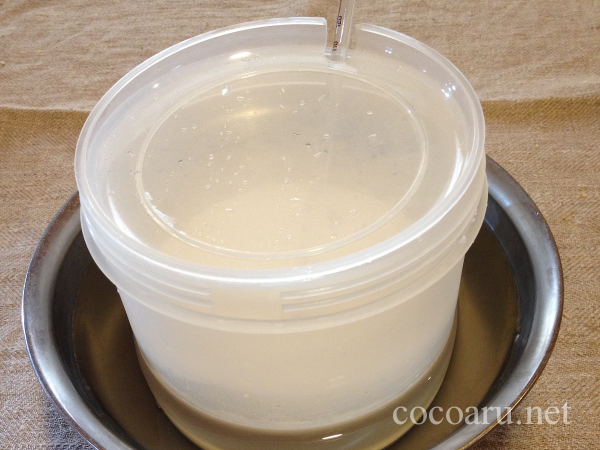 ヨーグルティアで豆乳ヨーグルトを作る！豆乳が冷たい時は湯煎を