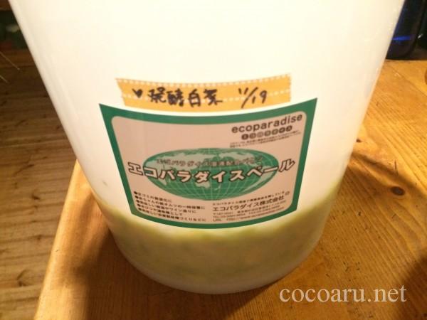 乳酸発酵（白菜の漬け物）13