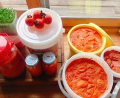 柿酢の大量仕込み