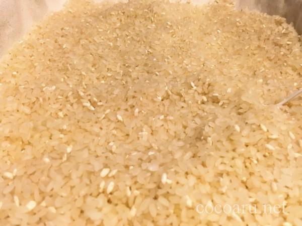 米麹の増やし方：友麹（種切り）